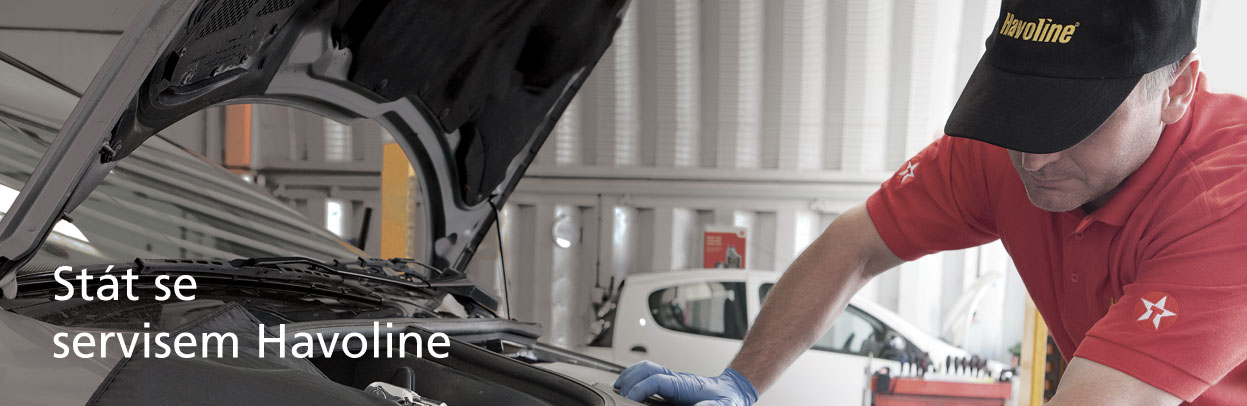 Havoline Workshop